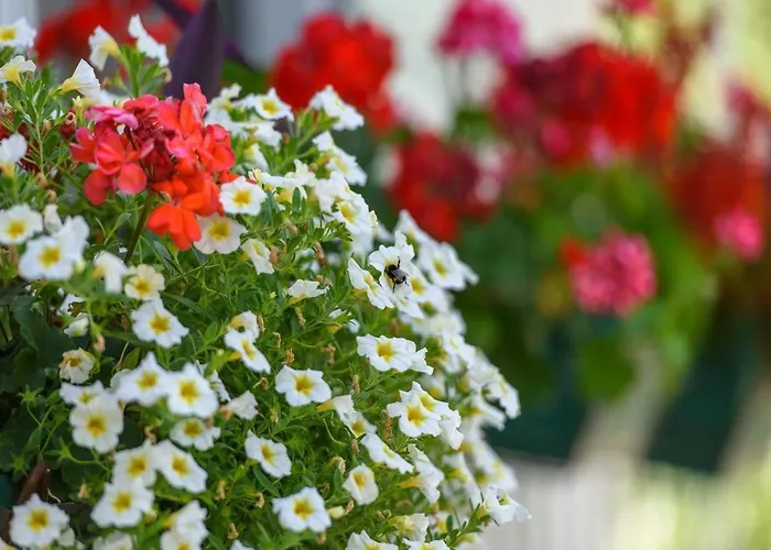 Pensionat Beba - Peaceful Location Trogir